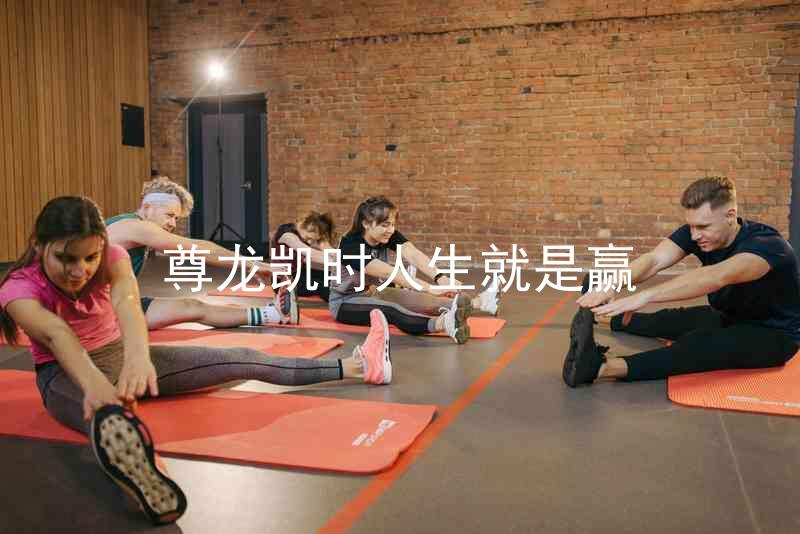 尊龙凯时人生就是赢